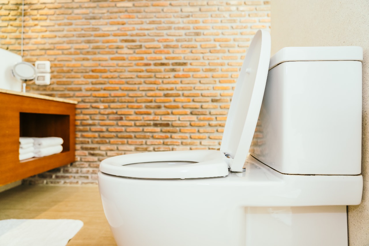 Toilet Duduk atau Toilet Jongkok, Mana yang Lebih Baik?